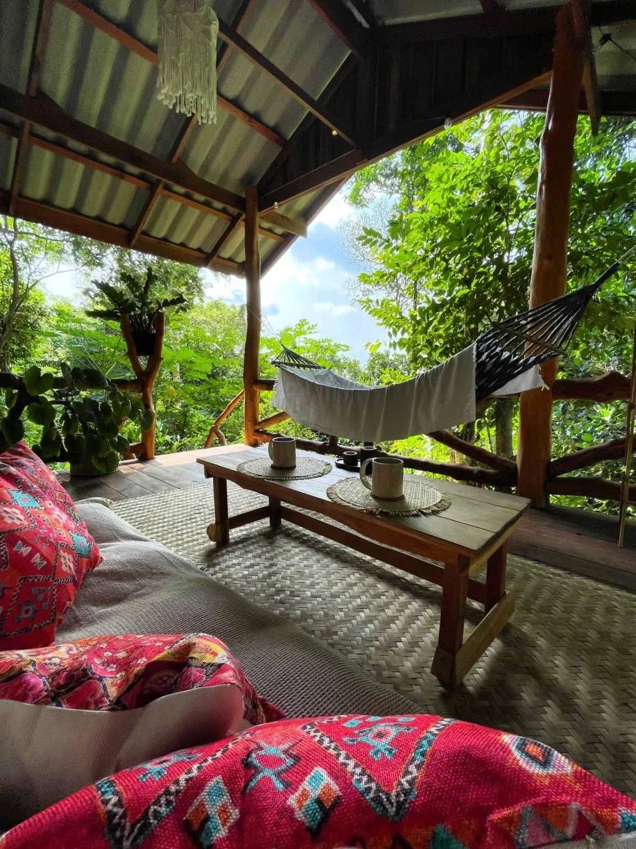 🏠 Jungle House with a View