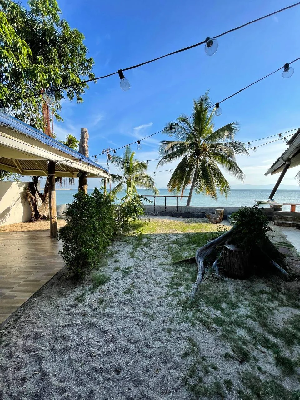 Apartments with a kitchen and direct access to the sea