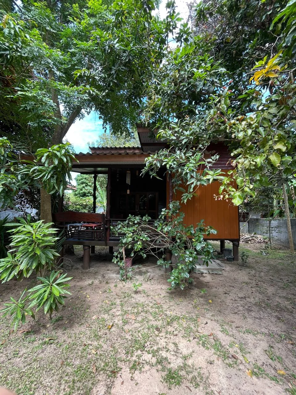 Grounds & pool
