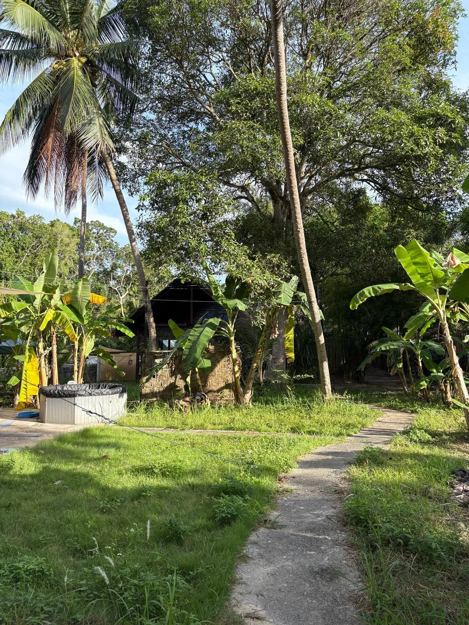 Grounds & pool