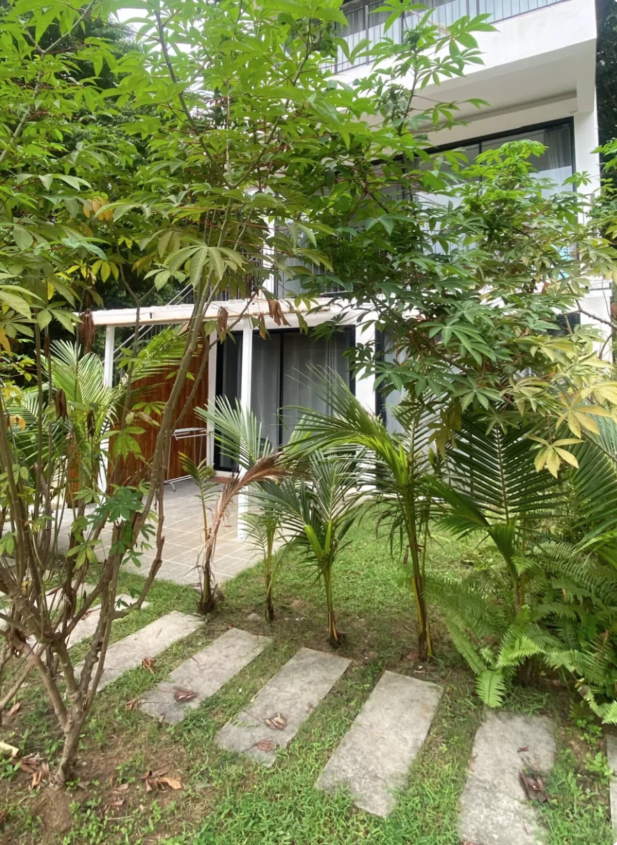 Grounds & pool